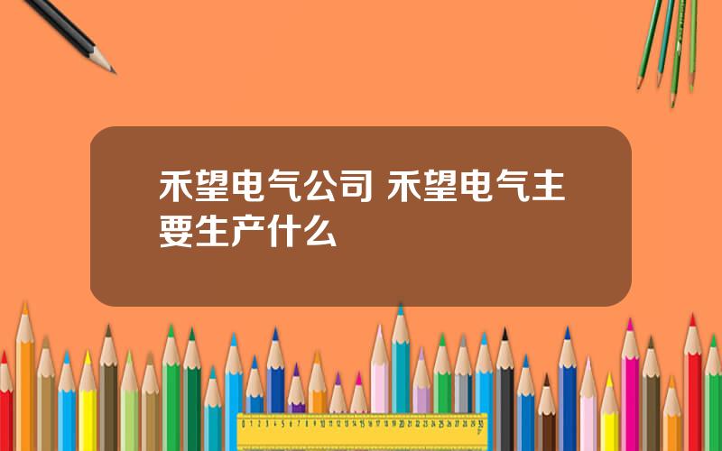 禾望电气公司 禾望电气主要生产什么